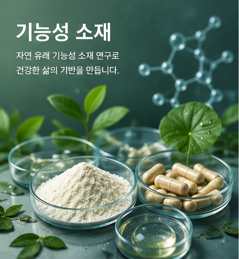 기능성 소재